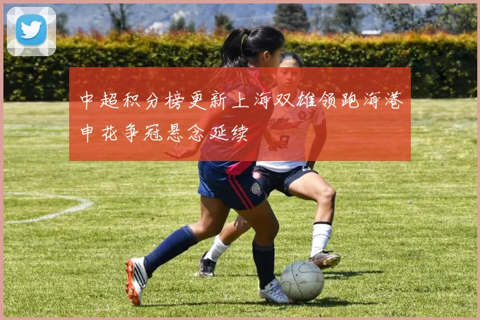 中超积分榜更新上海双雄领跑海港申花争冠悬念延续