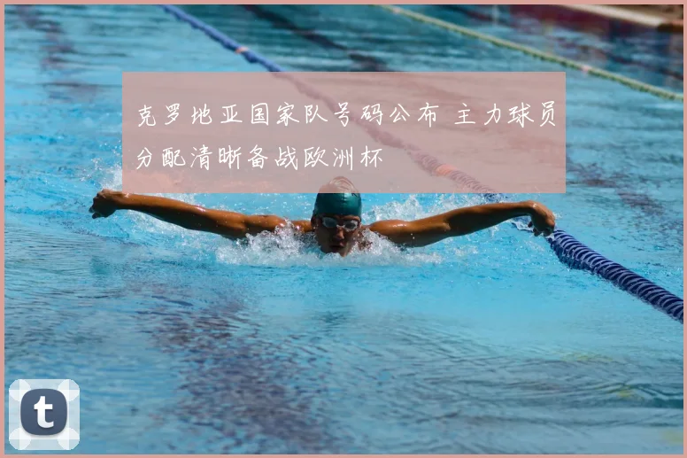 克罗地亚国家队号码公布 主力球员分配清晰备战欧洲杯
