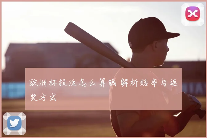 欧洲杯投注怎么算钱 解析赔率与返奖方式