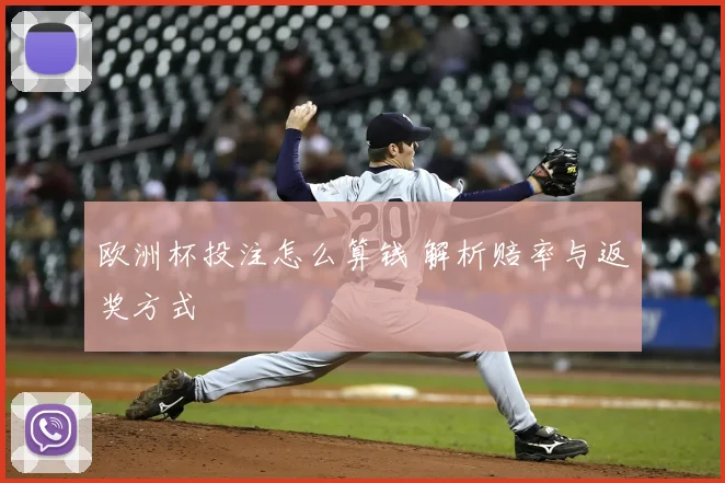 欧洲杯投注怎么算钱 解析赔率与返奖方式